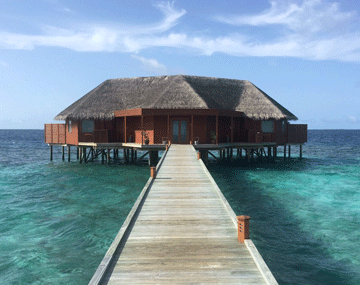 Darjeeling and Gangtok Tour Aahana Tours