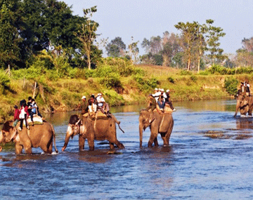 Darjeeling and Gangtok Tour Aahana Tours