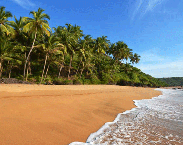 Darjeeling and Gangtok Tour Aahana Tours