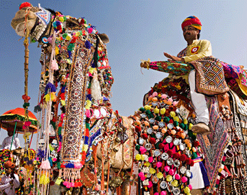 Darjeeling and Gangtok Tour Aahana Tours