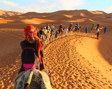 Darjeeling and Gangtok Tour Aahana Tours