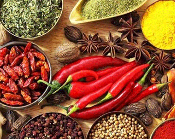 Darjeeling and Gangtok Tour Aahana Tours