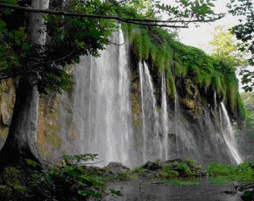 Darjeeling and Gangtok Tour Aahana Tours