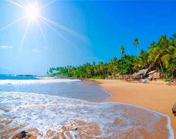 Darjeeling and Gangtok Tour Aahana Tours