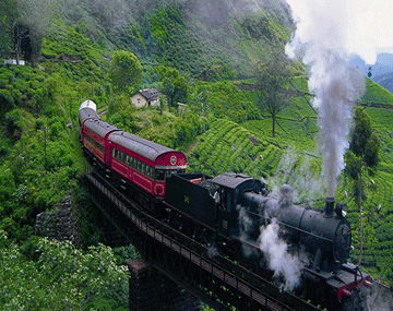 Darjeeling and Gangtok Tour Aahana Tours